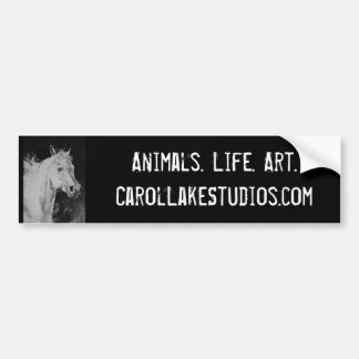 Autocollant De Voiture Studios Bumpersticker de lac carol