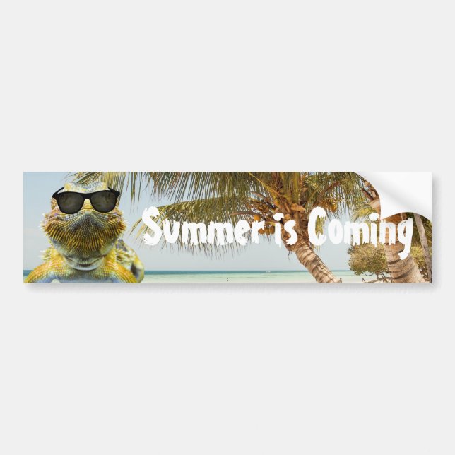 Autocollant De Voiture Summer is Coming (Devant)