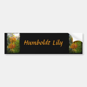 Autocollant De Voiture Sunburst de Humboldt Lilies