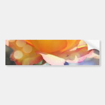 Superbe rose jaune fleur. Photographie florale.