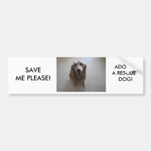 AUTOCOLLANT DE VOITURE SVP SAUVEZ-MOI - ADOPTEZ UN CHIEN DE DÉLIVRANCE !