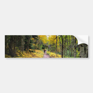 Autocollant De Voiture Swiftcurrent Pass Trail - Parc national des Glacie