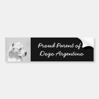 Tableau Dogo Argentino - Art Chien original