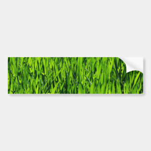 Autocollant De Voiture Tall Blades of Grass