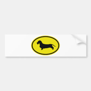 Autocollant De Voiture Teckel à poils durs