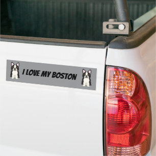 Autocollant De Voiture Terrier de Boston