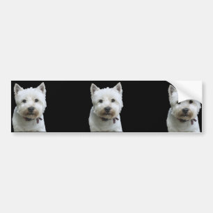 Autocollant De Voiture Terrier des montagnes occidental