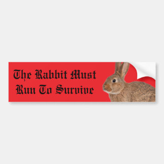 Autocollant De Voiture The rabbit must run to survive bumper sticker