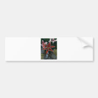 Tiger Lily Gibney Le MUSÉE Zazzle Cadeaux