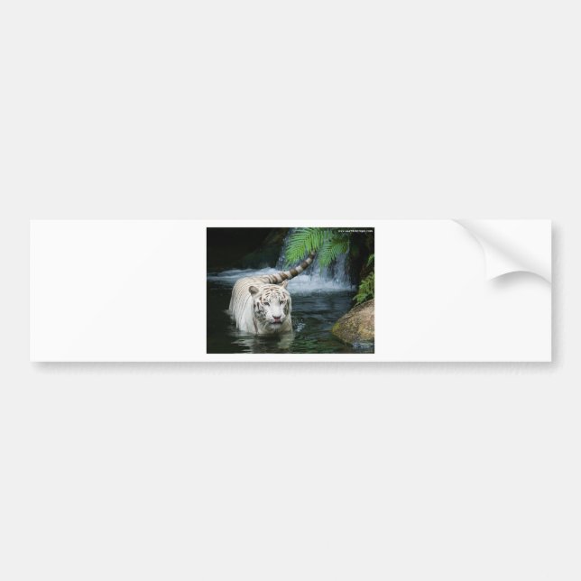 Autocollant De Voiture Tigre blanc (Devant)