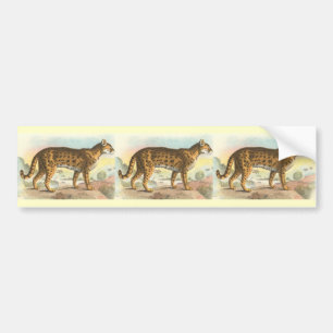 Autocollant De Voiture Tigre-Chat