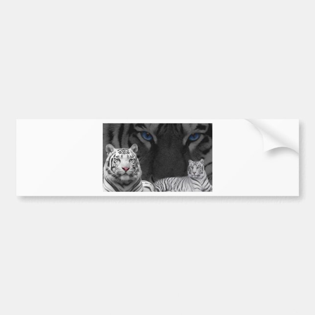 Autocollant De Voiture Tigres blancs (Devant)