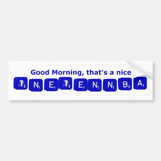Autocollant De Voiture TNETENNBA - Bonjour (Devant)