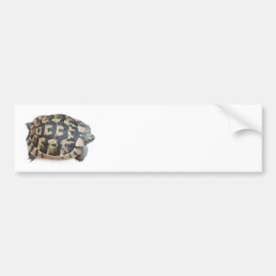 Autocollant De Voiture Tortue