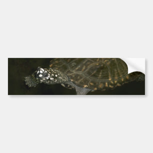 Autocollant De Voiture Tortue