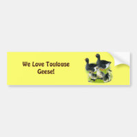 Toulouse Goose