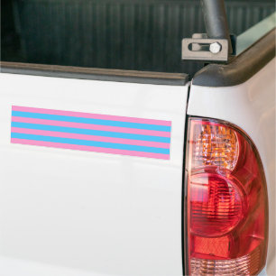 Autocollant De Voiture Trans Pride (Historique de 1999)