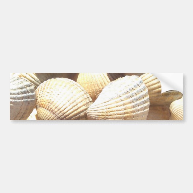 Autocollant De Voiture Tropical Sunny Sea Shells (Devant)