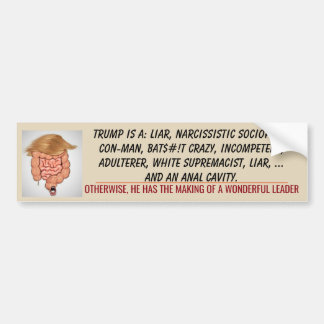 Autocollant De Voiture Trump Anal Cavity TUCK FRUMP 2020 Biden