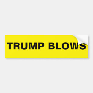 AUTOCOLLANT DE VOITURE TRUMP BLOCS