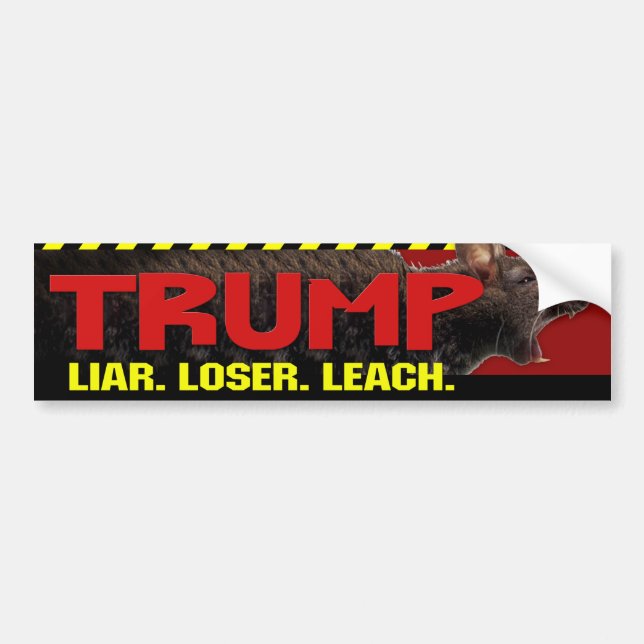 Autocollant De Voiture Trump - menteur, perdant, Sticker de pare-chocs (Devant)