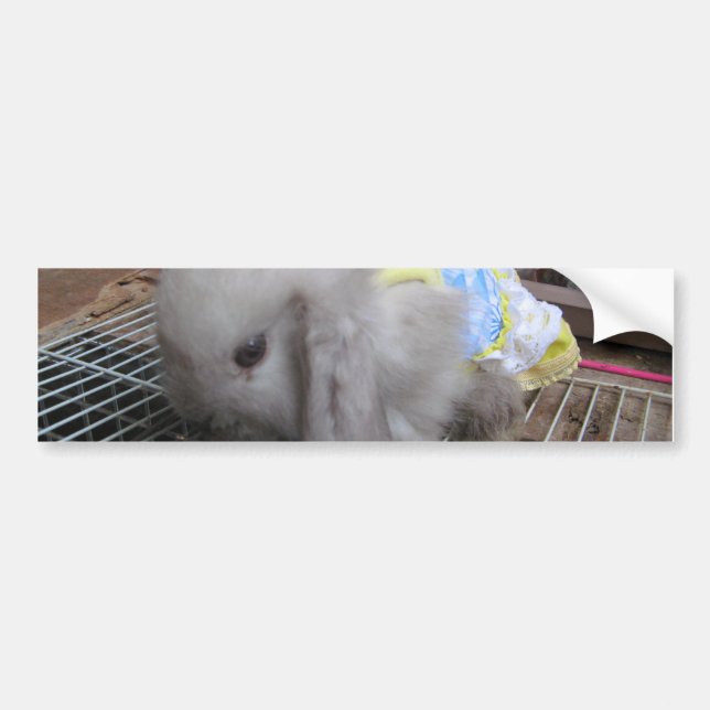Autocollant De Voiture Un mignon lapin en robe (Devant)