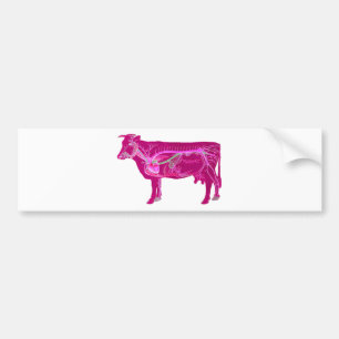 Autocollant De Voiture Vache mignonne anatomique