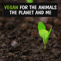 Vegan pour les animaux, la planète et moi activism