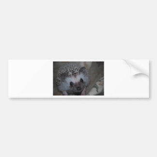 Autocollant De Voiture Visage de hérisson