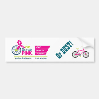 Autocollant De Voiture Visite de Pink de YSC ou buste ! Adhésif pour
