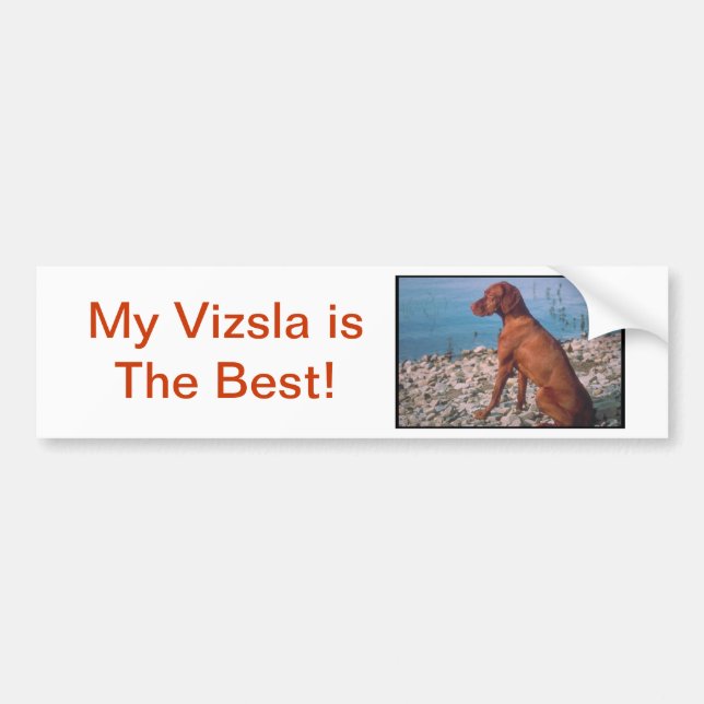 Autocollant De Voiture Vizsla (Devant)