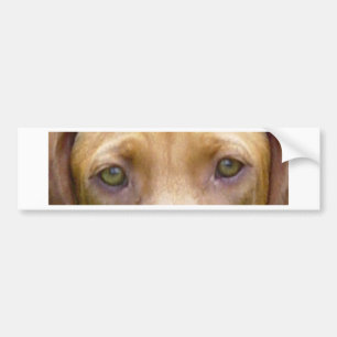 Autocollant De Voiture vizsla eyes.png