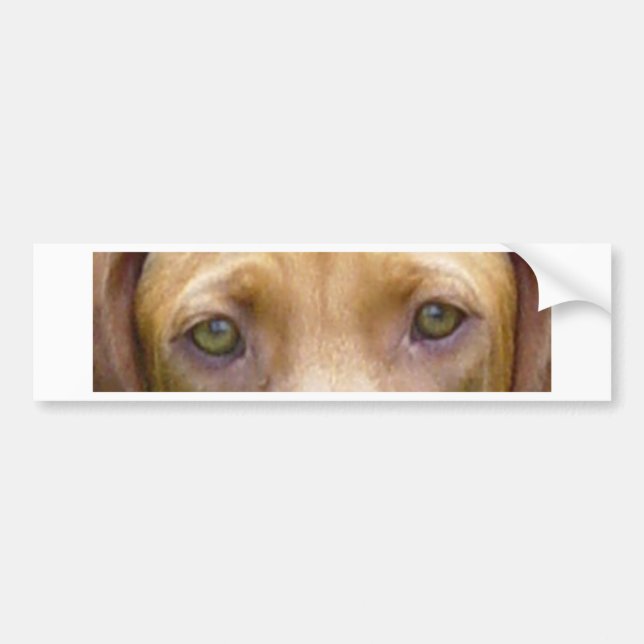 Autocollant De Voiture vizsla eyes.png (Devant)