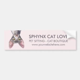 Autocollant De Voiture Voiture de chat sphynx canadien rose élégant