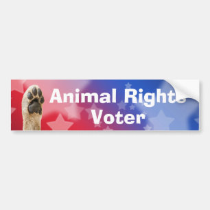 Autocollant De Voiture Voter pour les droits des animaux