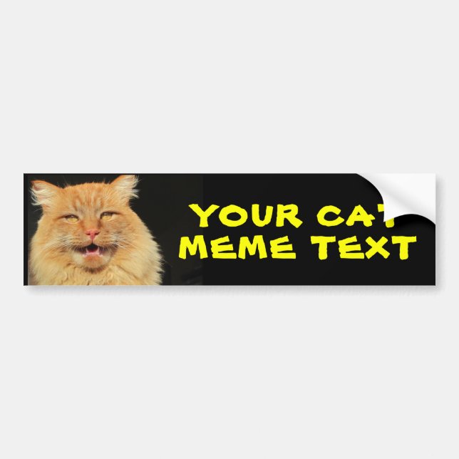 Autocollant De Voiture Votre texte de Meme de chat (Devant)