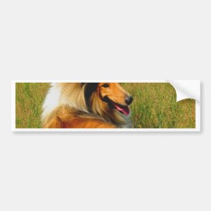 Autocollant De Voiture vous attendant colley rugueux