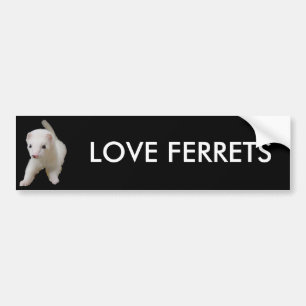 Autocollant De Voiture White Baby Ferret Bumper Sticker