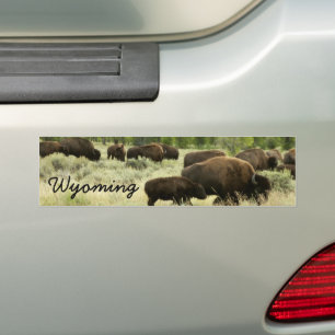 Autocollant De Voiture Wyoming Bison Nature Animal Photographie