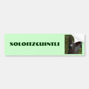 Autocollant De Voiture Xoloitzcuintli