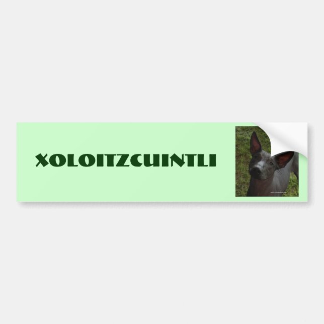 Autocollant De Voiture Xoloitzcuintli (Devant)