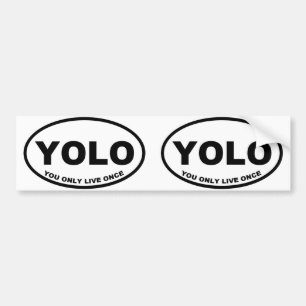 Autocollant De Voiture YOLO Vous Ne Vivez Qu'Une Seule Fois