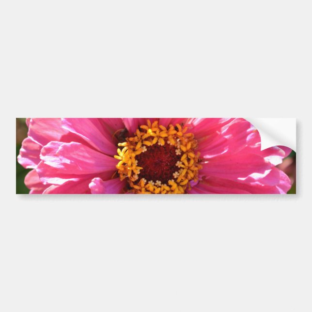 Autocollant De Voiture Zinnia rose (Devant)