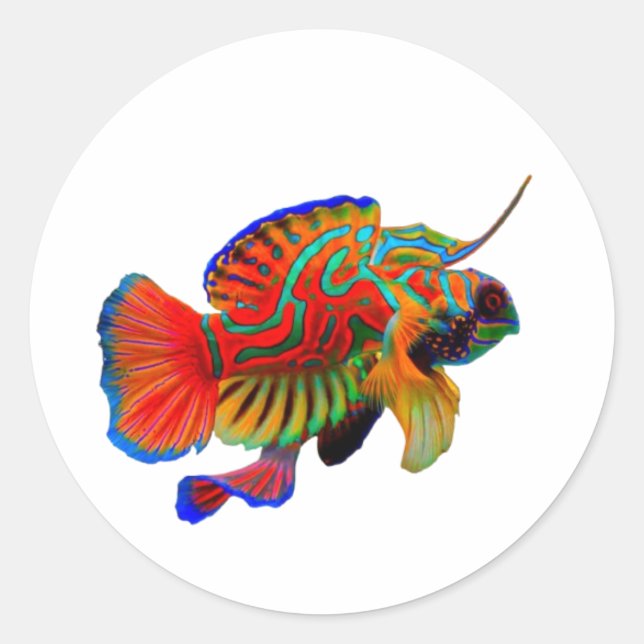Autocollant découpé Mandarinfish coloré - Récif ex (Devant)