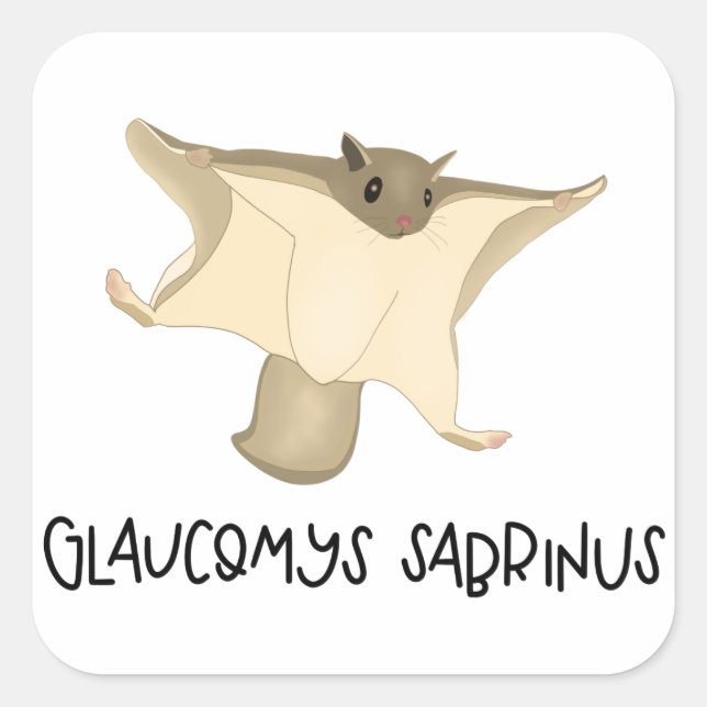 Autocollant d'écureuil volant (Devant)