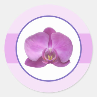 Autocollant d'enveloppe de 20 à 1,5 po Orchidées v