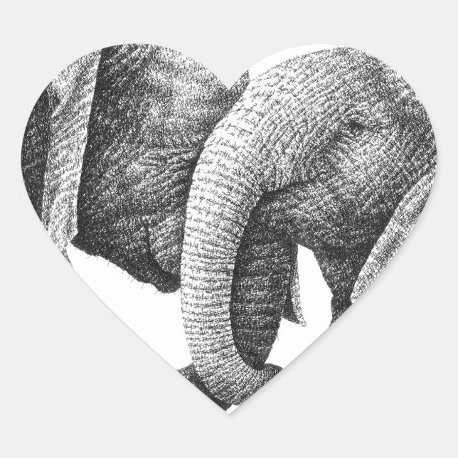 Autocollant des éléphants africains (Devant)