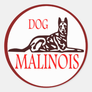 autocollant Dog malinois