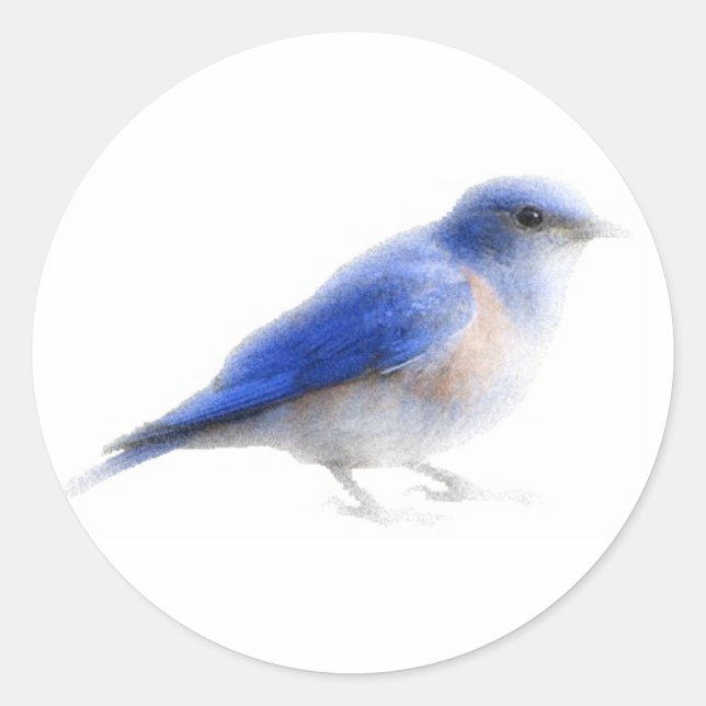 Autocollant d'origine de l'oiseau bleu aquarelle (Devant)