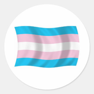 Autocollant du drapeau de la fierté transgenre